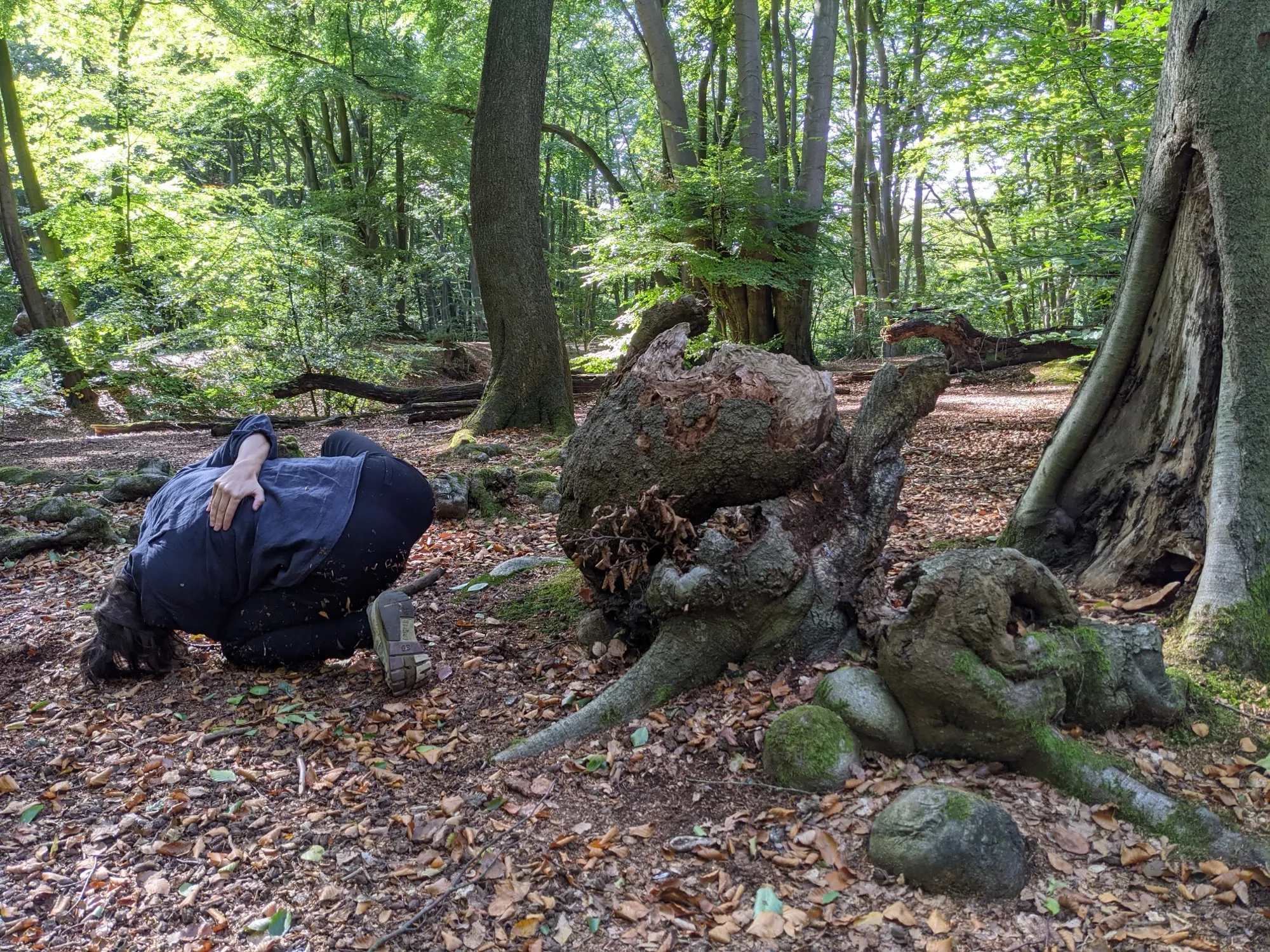 Nature's Polyphony