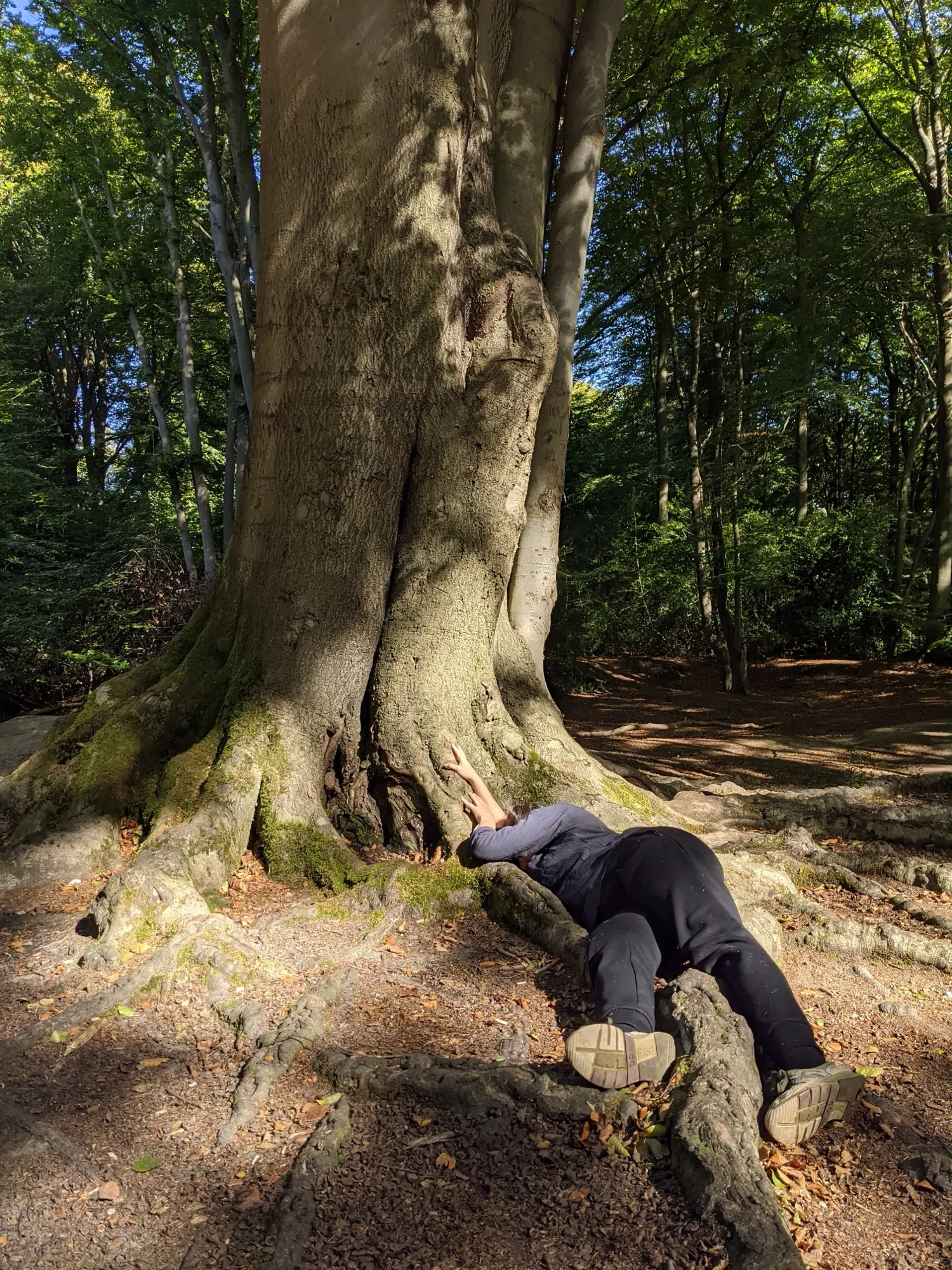 Nature's Polyphony