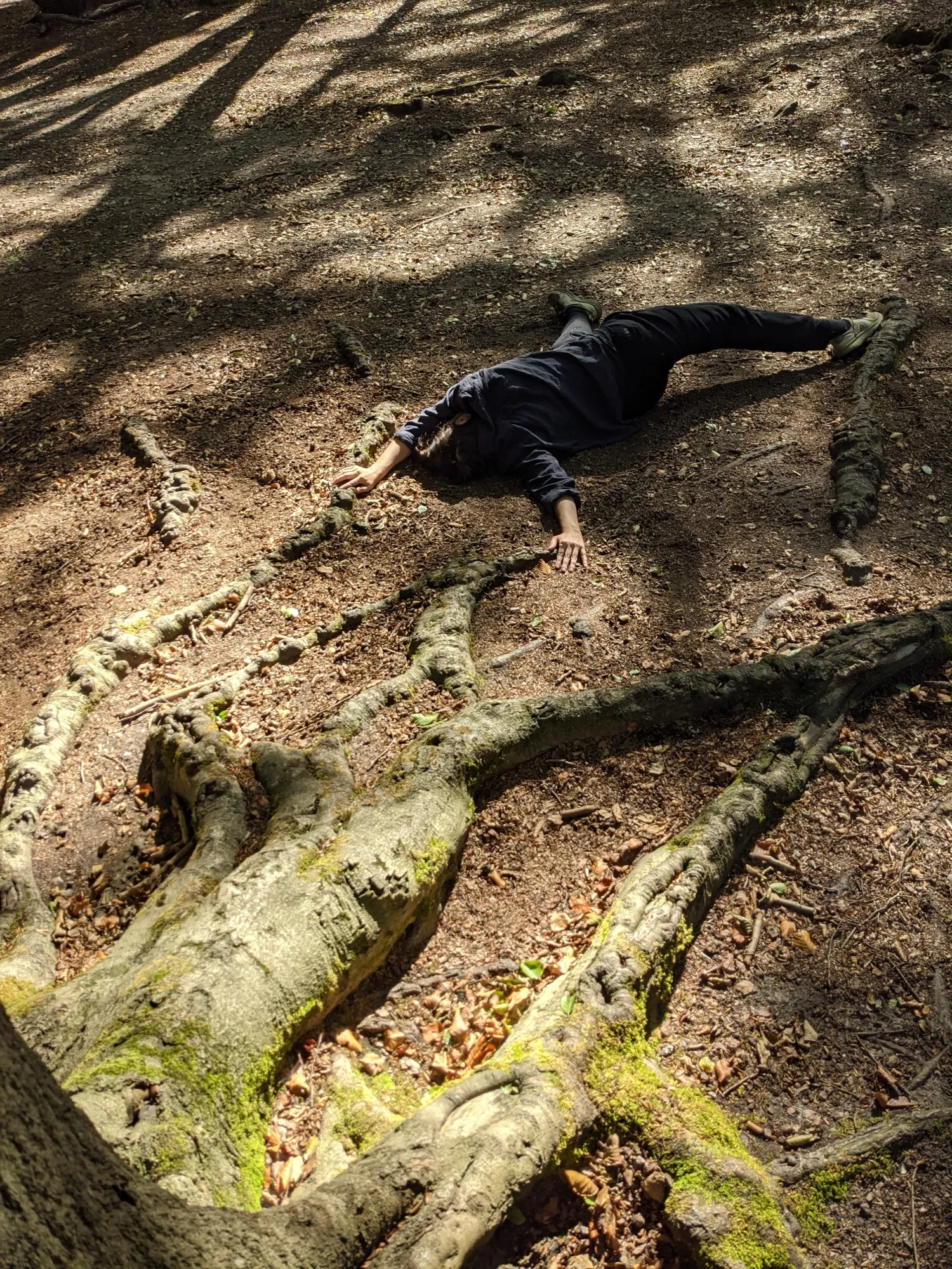 Nature's Polyphony